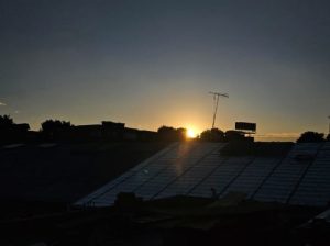 Terapias Innovadoras en Medicina Física y Rehabilitación