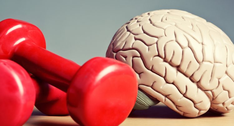 Rehabilitación Física y Salud Mental Una Relación Crucial